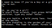 Giant Killer text adventure